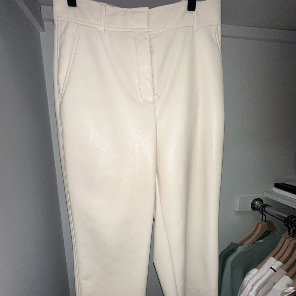 Aritzia leather pants